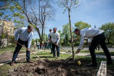 Kerületszerte faültetésekkel indult a Föld Napja